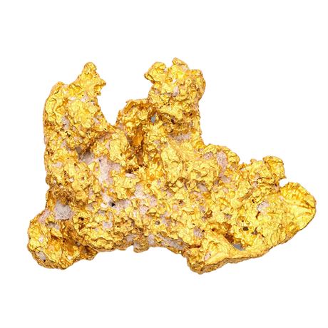 34g Natural Gold Nugget - Golden Capybara (1.09oz)